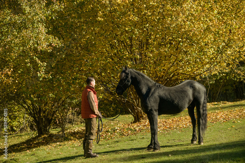 A black horse and a a man on a sunny autumn day. © xpabli