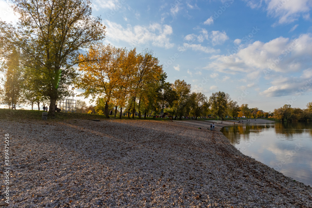 Beautiful trees at Jarun lake shore coloured in yellow, autumn colors with fallen leaves covering the pebble beach Beautiful trees at Jarun lake shore coloured in yellow, autumn colors with fallen leaves covering the pebble beach