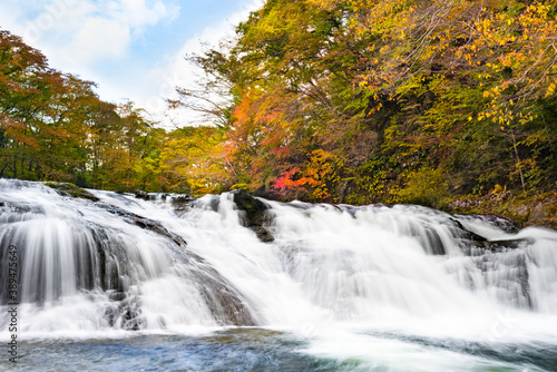 Fototapeta Naklejka Na Ścianę i Meble -  日本　紅葉の浅布渓谷不動の滝