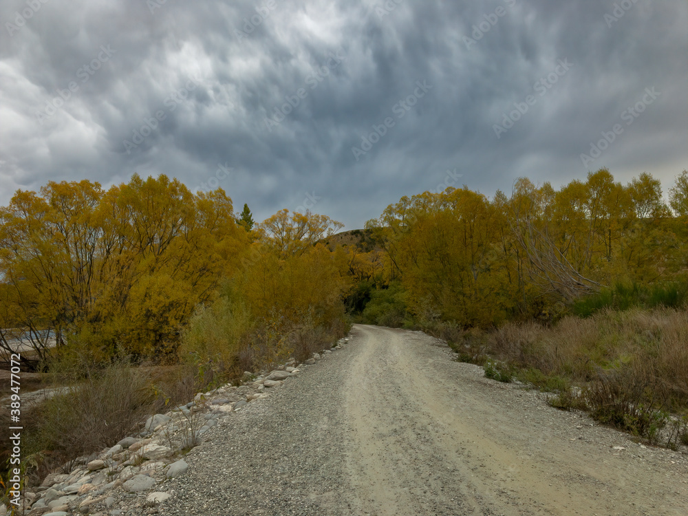 Fototapeta premium Twin Rivers Trail going toward the Shotover Bridge, Queenstown Area, South Island, New Zealand