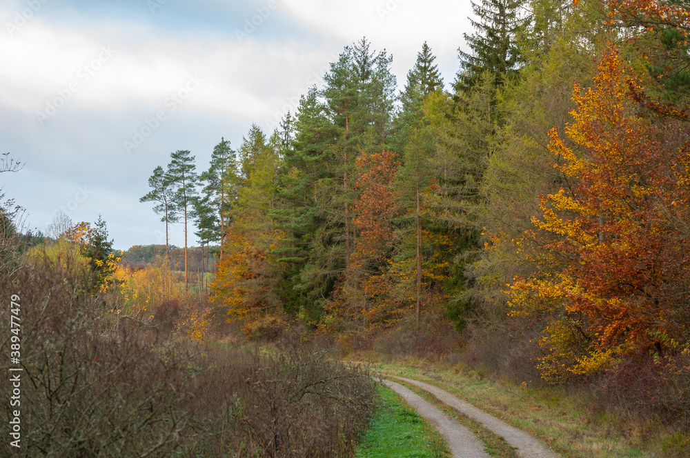 Fototapeta premium Landschaft im Herbst