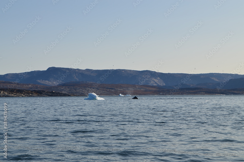 Obraz premium Iluissat, Oqaatsut, Oqaitsut, formerly Rodebay or Rodebaai, Greenland