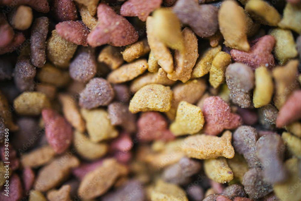 close up of cat food close up of cat food