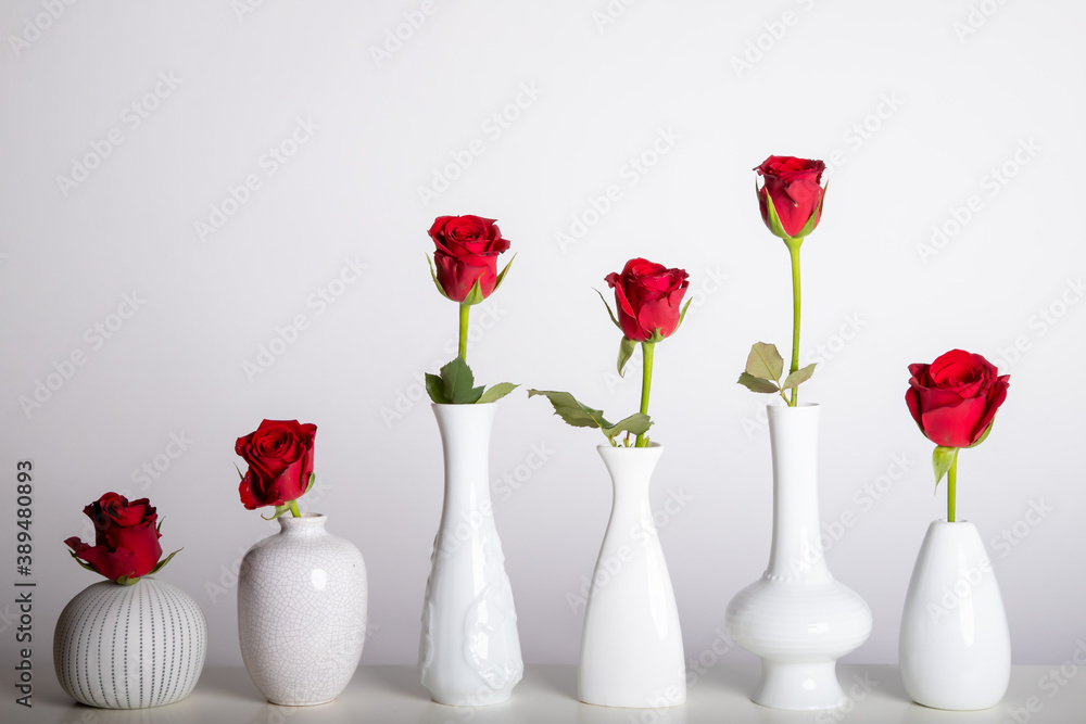 six white vases, each with a red rose against a white background six white vases, each with a red rose against a white background