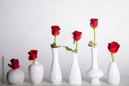 six white vases  each with a red rose against a white background