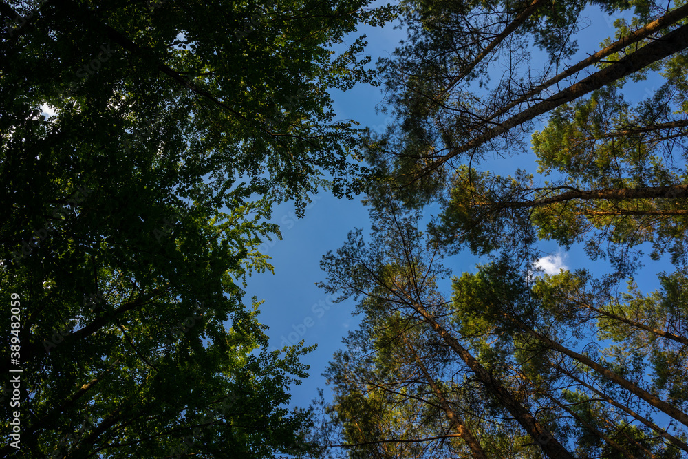 Obraz premium Landschaft im Herbst