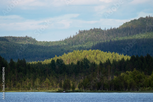 Hillsides covered with taiga forest on a summer day in Northern Finland. 