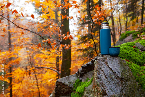 vacuum flask standing on mossy rock at beautiful autumn forest