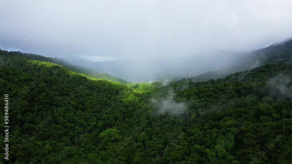 Rainy clouds over the mountains in Martinique tropical forest with a rays of sunlight in the vegetation Rainy clouds over the mountains in Martinique tropical forest with a rays of sunlight in the vegetation