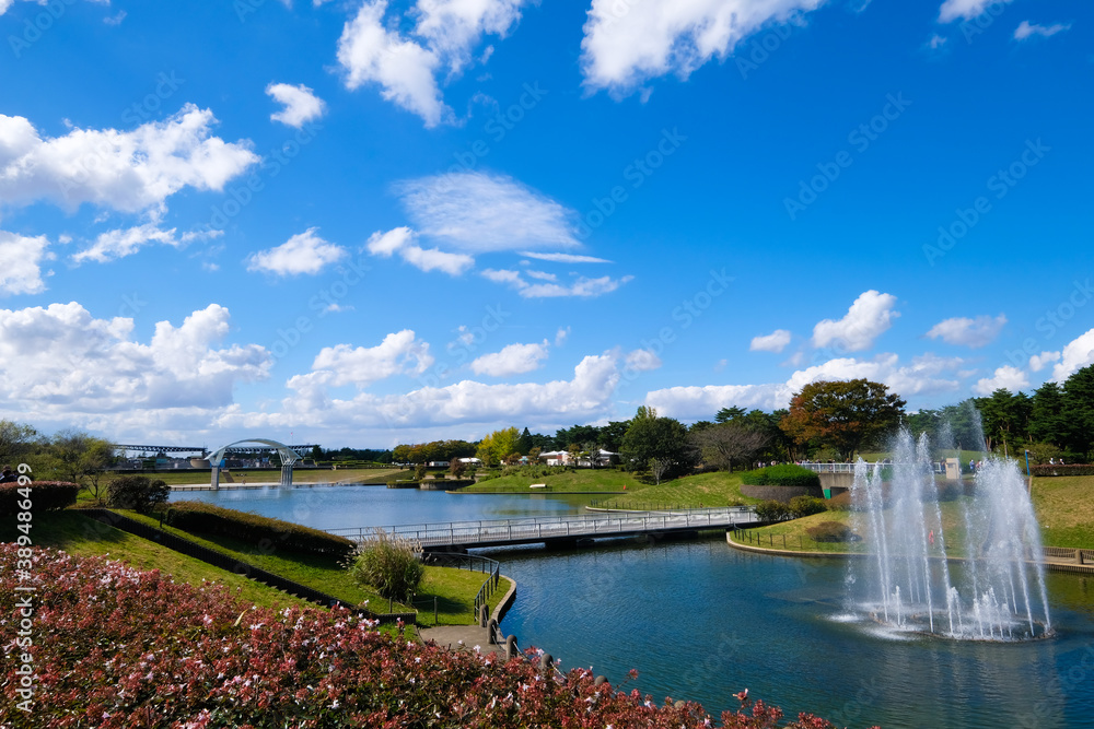 Fototapeta premium 茨城県ひたちなか市の公園