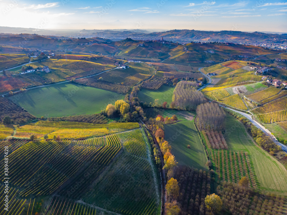 Vineyards landscape, rows of wine country in beautiful autumn colors of red, yellow and gold in panoramic italian village