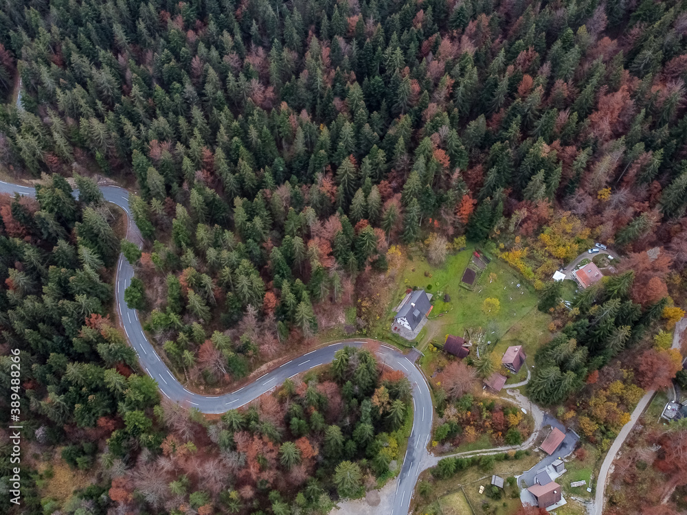 road in the autumn forest drone view