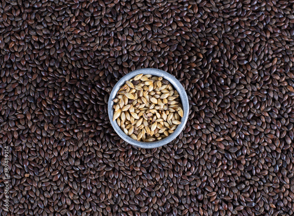 Black malt background with a metal rim with pale malt, craft beer concept Black malt background with a metal rim with pale malt, craft beer concept