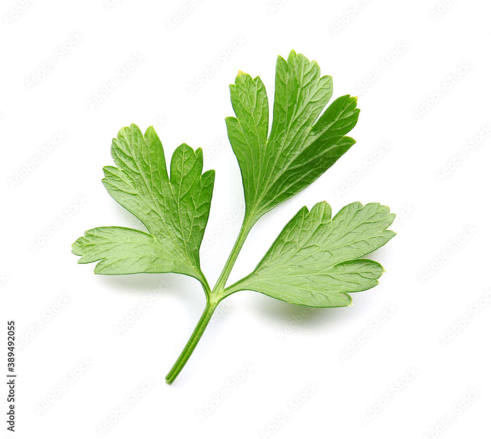 Fresh parsley on white background Fresh parsley on white background