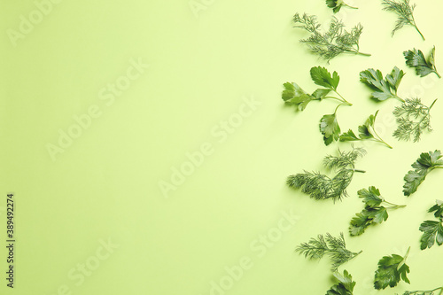 Fresh parsley and dill on color background