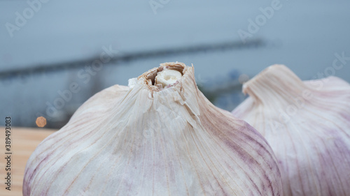 Locally farmed fresh garlic on wooden cutting board with the archipelago as background. Food and healthy ingredient concept.