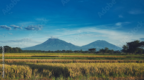 Side by side view of Mount Merapi and Mount Merbabu can be seen from the rice fields in Klaten Indonesia      