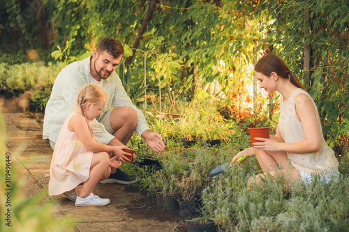 Young family working in garden