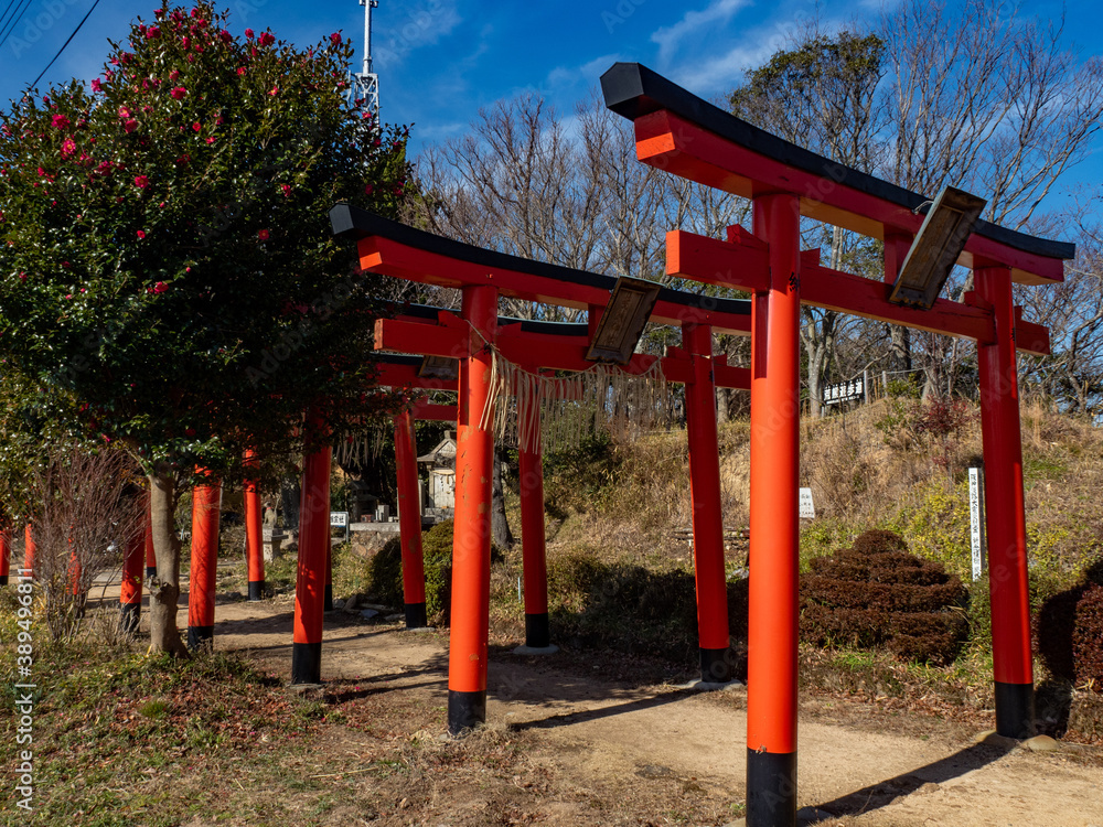 日本の神社の鳥居