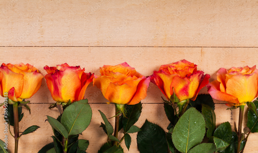 Roses on Wooden background. Selective focus. Roses on Wooden background. Selective focus.
