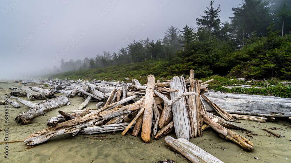 Driftwood washed on shore on the Fog covered sandy Beach of Cox Bay in Pacific Rim National Park on Vancouver Island, British Columbia, Canada