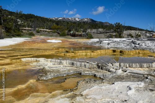 Mammoth Hot Springs Terrace, Yellowstone National Park and Preserve, USA.