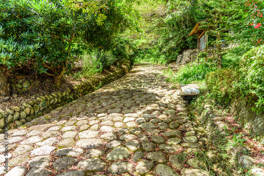 Obraz premium 旧東海道金谷坂の石畳