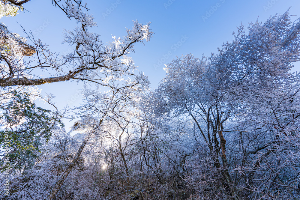 Rime on a sunny afternoon in Huangshan Scenic Area, Anhui, China Rime on a sunny afternoon in Huangshan Scenic Area, Anhui, China