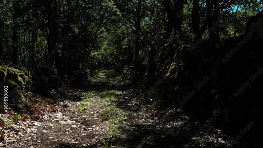 Avancée dans un petit chemin entre murets recouverts de mousse. UHD. Causses du Lot (France) Avancée dans un petit chemin entre murets recouverts de mousse. UHD. Causses du Lot (France)
