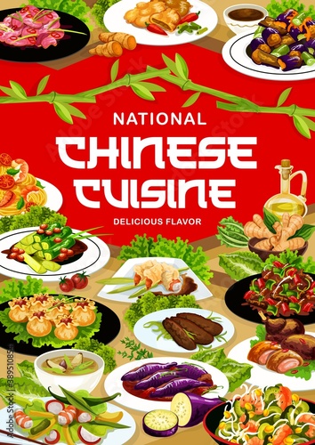 Chinese cuisine meals vector banner. Sichuan and peking duck in sauce, wonton, funchoza salad and noodles with shrimps, cucumbers in chili oil, stir fried beef, spicy eggplant and asian vegetable soup