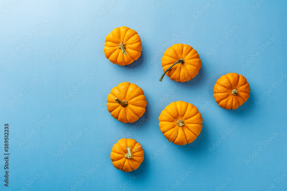 group of pumpkins on a blue background isolated top view group of pumpkins on a blue background isolated top view
