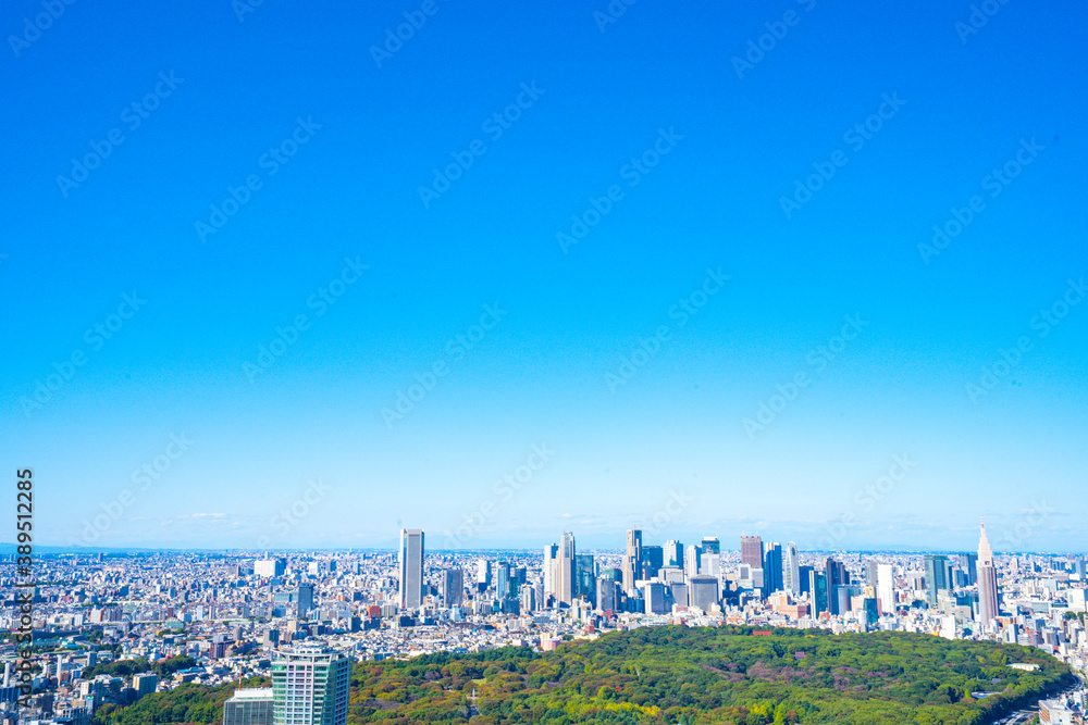 Obraz premium 【渋谷スカイより・広角撮影】東京都、都市景観/新宿副都心・代々木公園方面