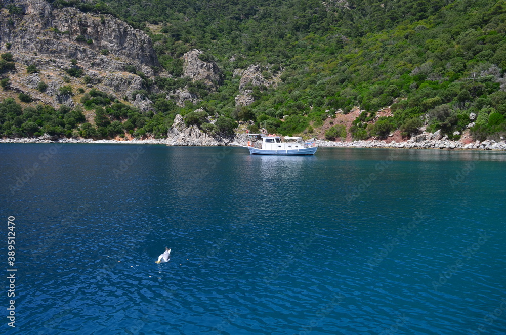 boats in bay