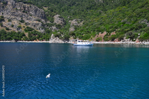 boats in bay