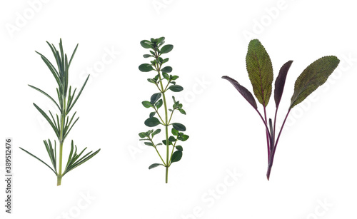 closeup of fresh garden rosemary, thyme and sage leaves isolated on white background