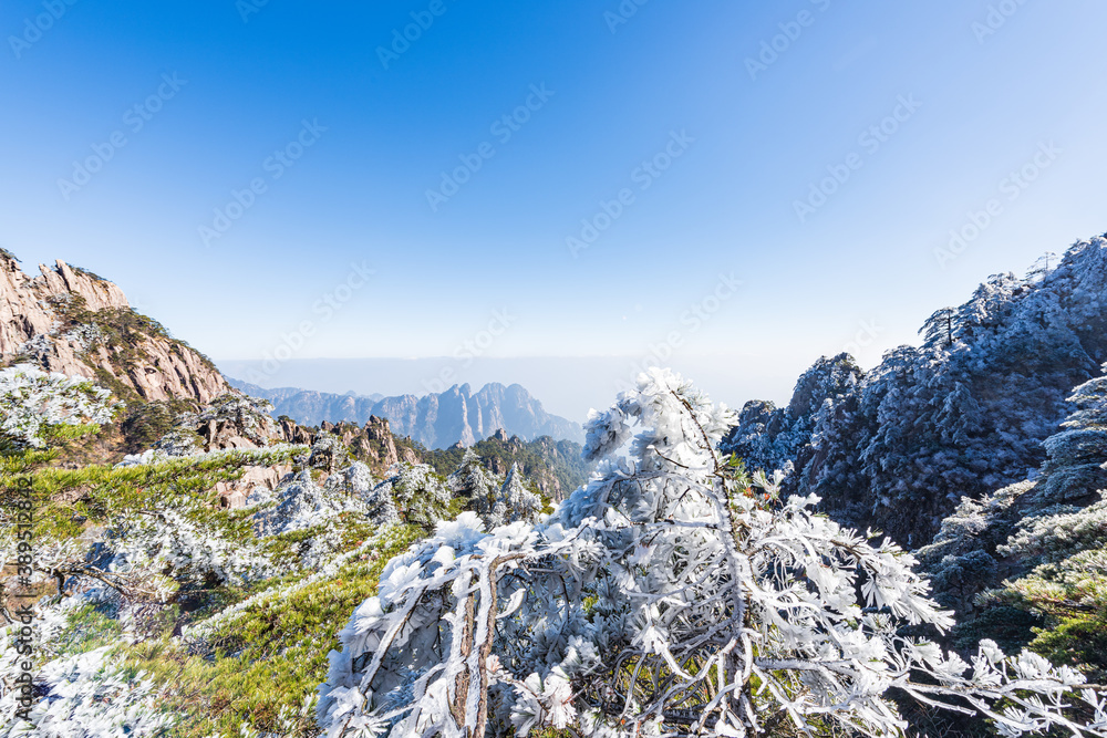 Rime on a sunny afternoon in Huangshan Scenic Area, Anhui, China Rime on a sunny afternoon in Huangshan Scenic Area, Anhui, China