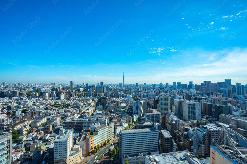 Fototapeta premium 【文京シビックセンターより】東京都内、都市景観/浅草・上野・スカイツリー方面