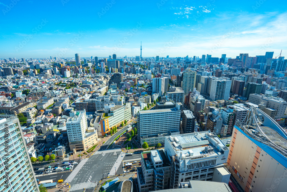 Fototapeta premium 【文京シビックセンターより】東京都内、都市景観/浅草・上野・スカイツリー方面