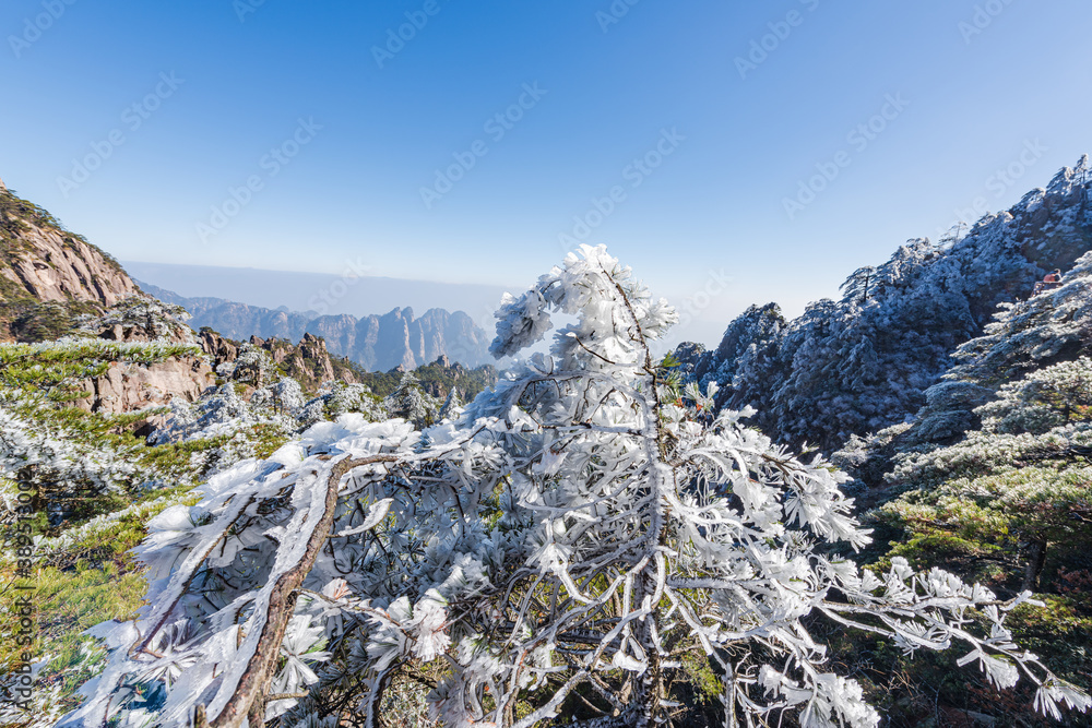 Rime on a sunny afternoon in Huangshan Scenic Area, Anhui, China Rime on a sunny afternoon in Huangshan Scenic Area, Anhui, China