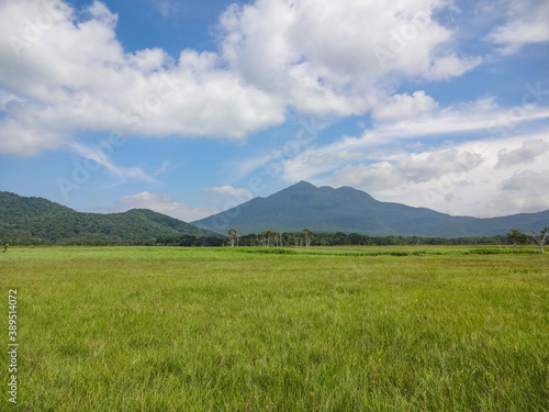 夏の尾瀬