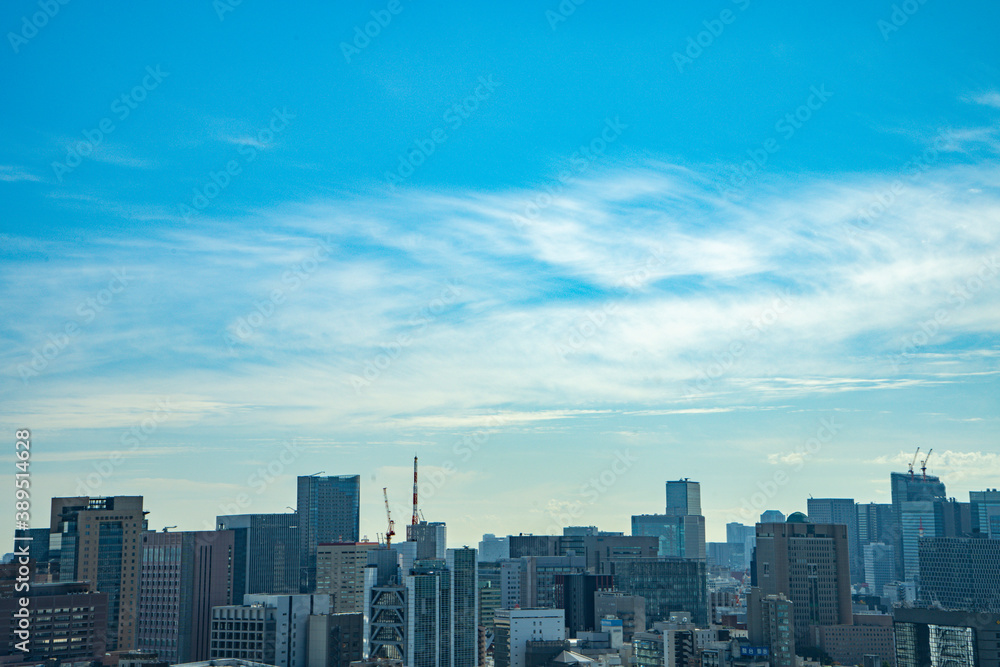 Fototapeta premium 【文京シビックセンターより】東京都内、都市景観/浅草・スカイツリー方面
