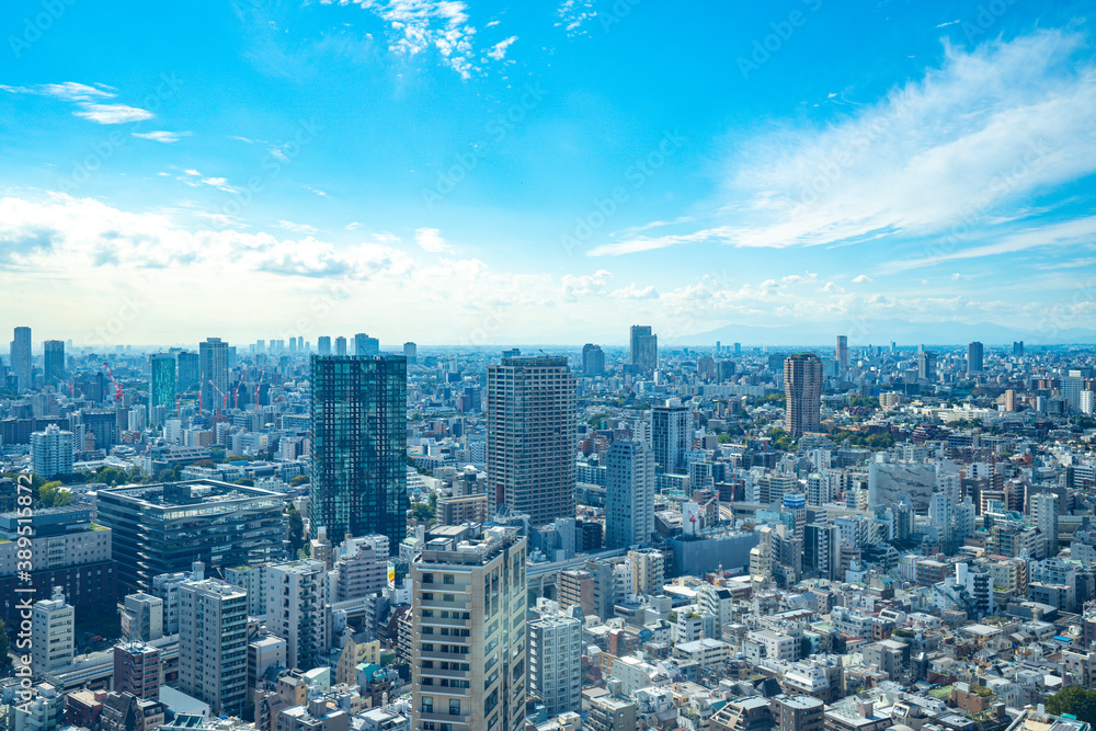 Obraz premium 【東京タワーより】東京都内、都市景観/港区方面