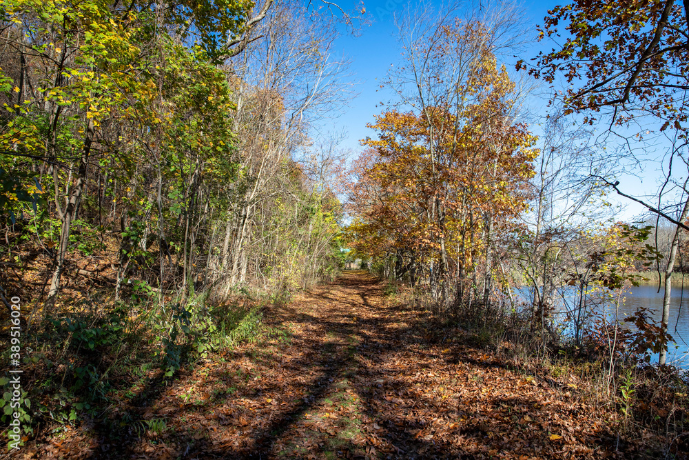 The beautiful colors of the autumn near Diverting Reservoir in Brewster, N.Y. The beautiful colors of the autumn near Diverting Reservoir in Brewster, N.Y.