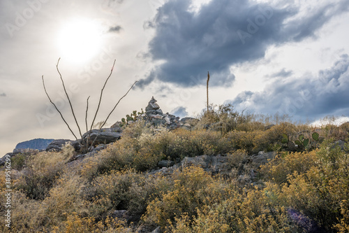 An overlooking view of Kartchner Caverns NP, Arizona photo