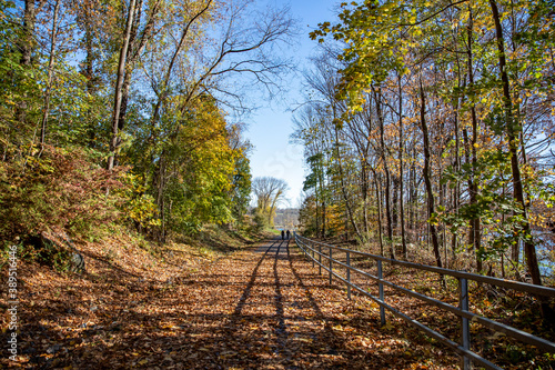 The path of the Putnam Trailway glows in the colors of fall in Putnam County, N.Y. photo