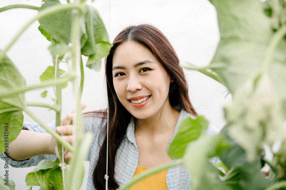 Portrait of cheerful asian woman in greenhouse farm. Portrait of cheerful asian woman in greenhouse farm.