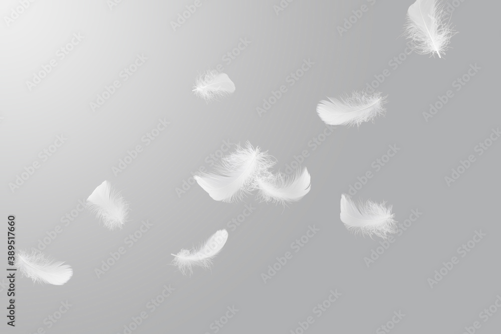 Soft light a white feathers floating in the sky. Feather abstract freedom on gray background. Soft light a white feathers floating in the sky. Feather abstract freedom on gray background.