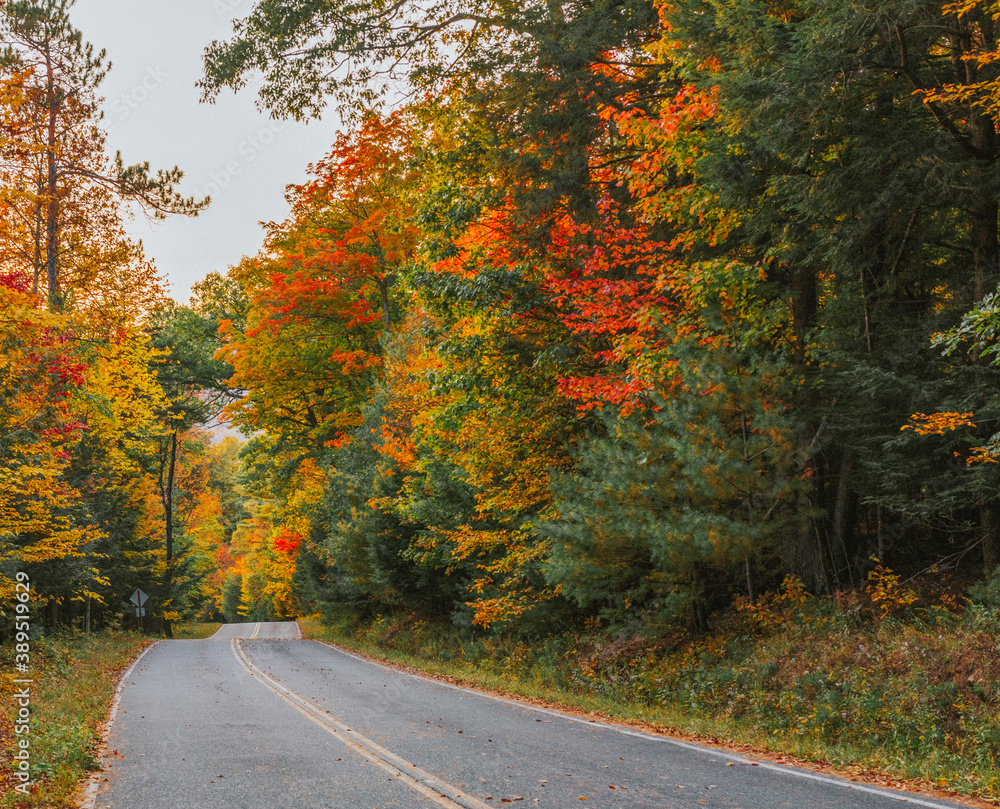 Adirondacks, NY Adirondacks fall foliage explosion of colors