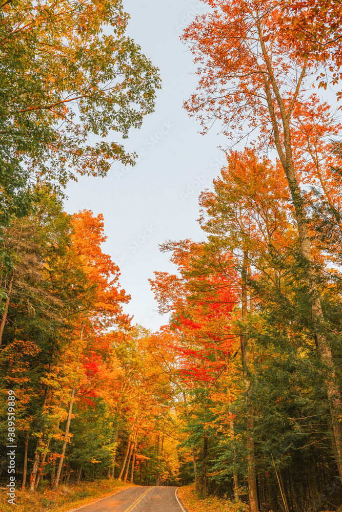 Adirondacks, NY Adirondacks fall foliage on a quiet desloate road
