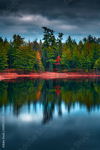 Reflection of trees in lake under gloomy weather